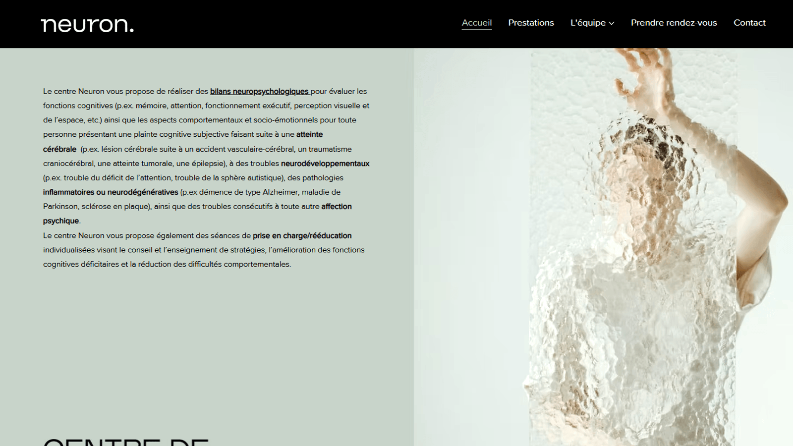 Visuel du projet centre neuron