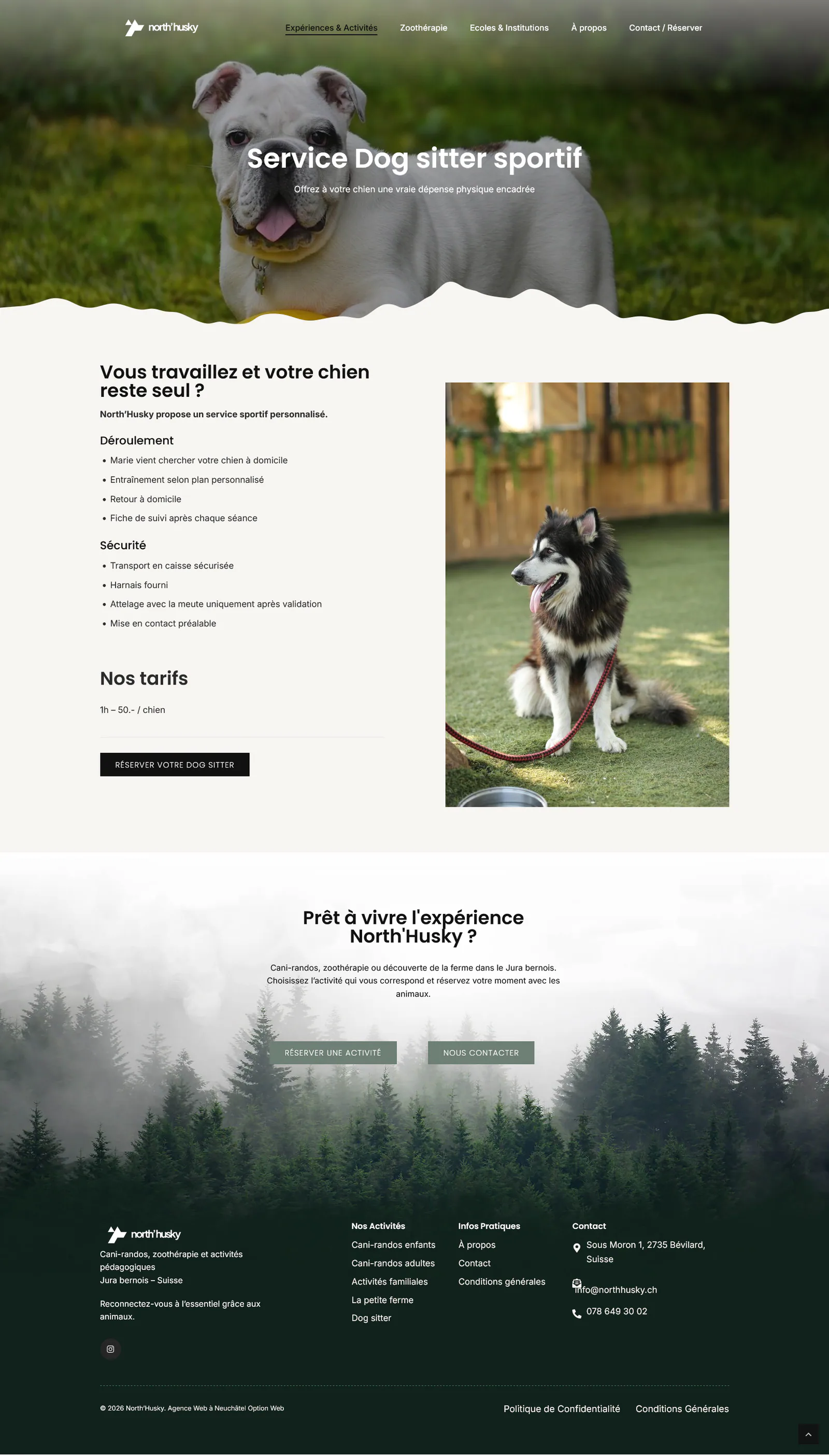 Capture du projet North’Husky