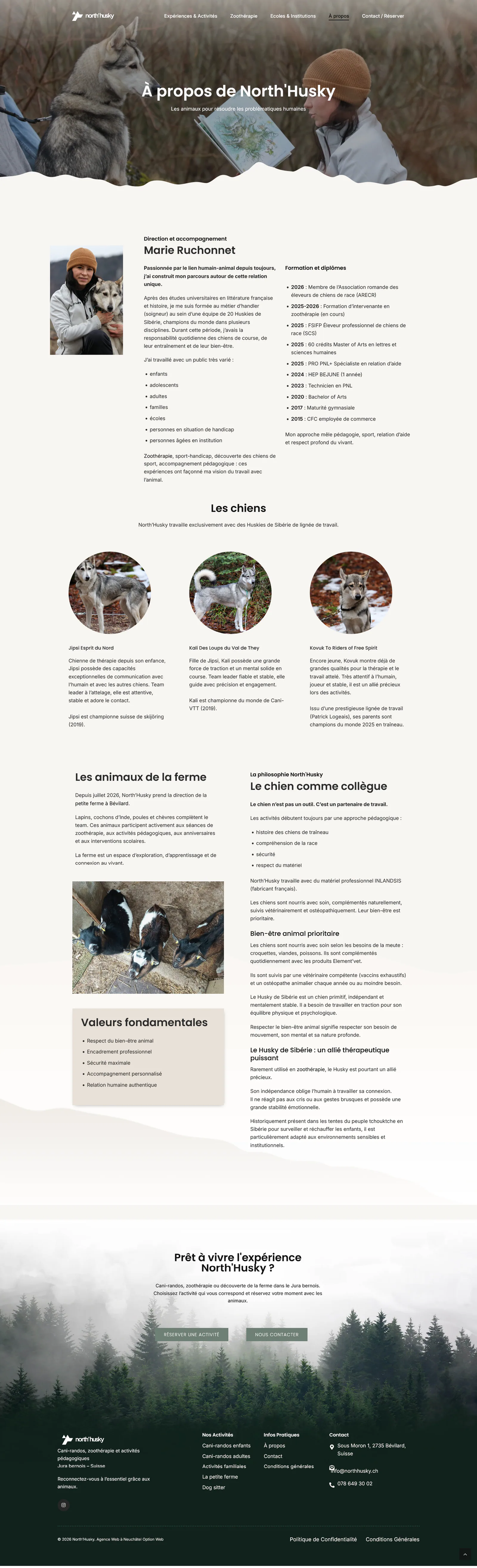 Capture du projet North’Husky