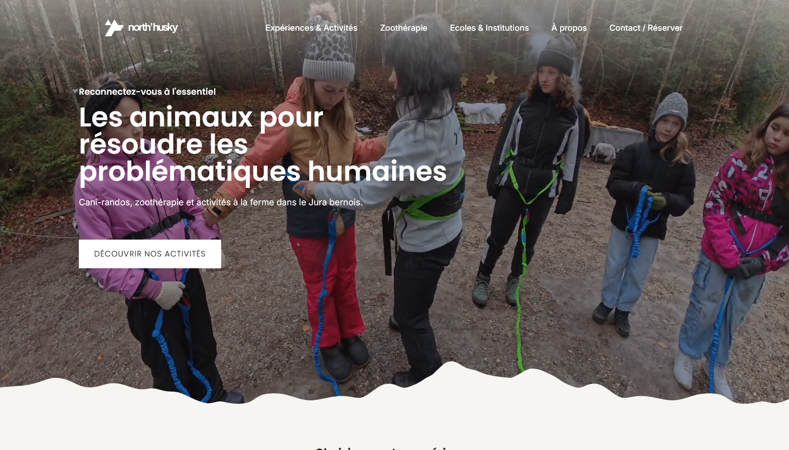 Aperçu du projet North Husky
