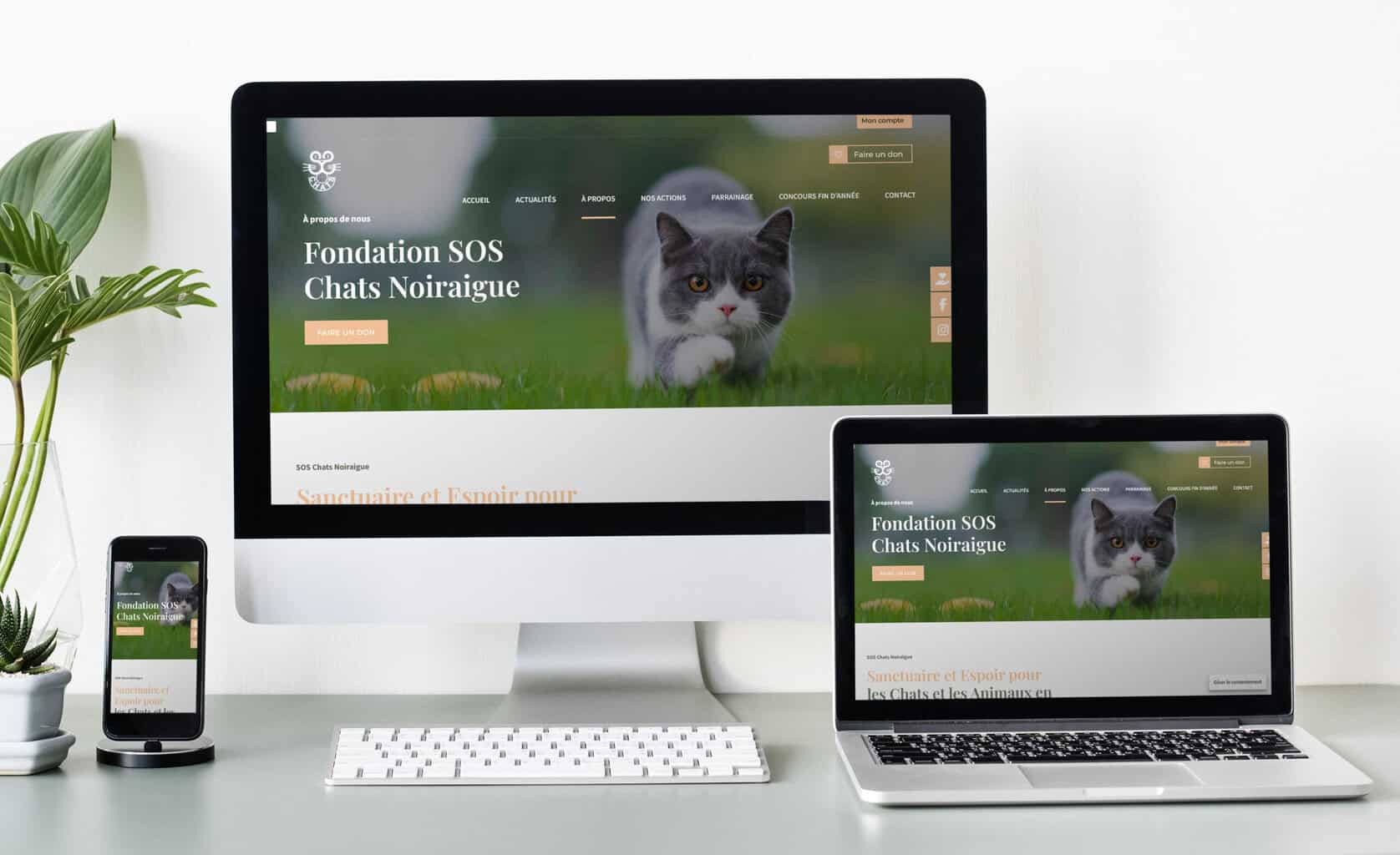 Aperçu du projet Fondation SOS Chats