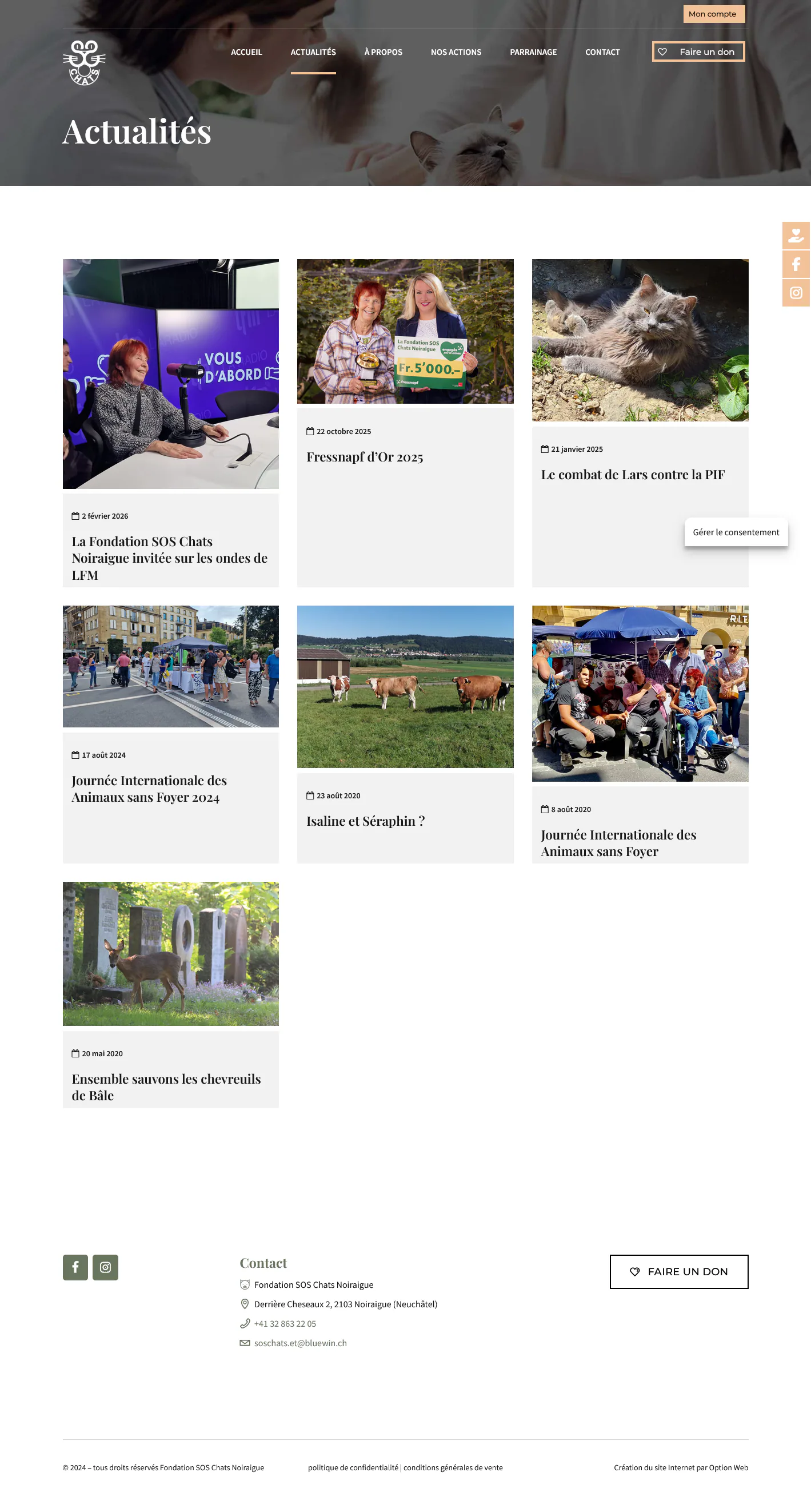 Capture du projet sos chats
