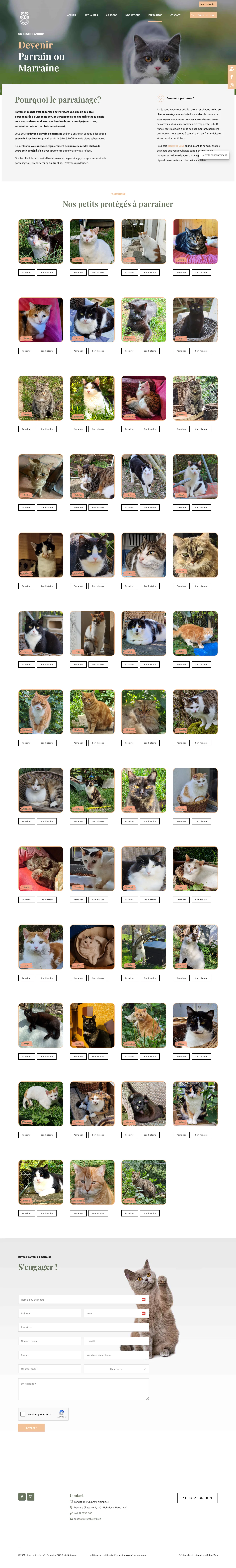 Capture du projet sos chats